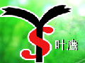 紹興葉鷹紡化有限公司