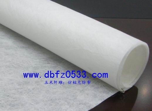 PLA᣺ճo