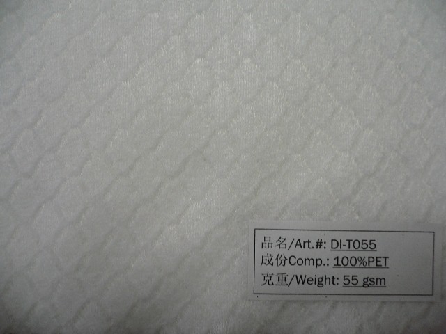 ˮ̟o:DI-T055
