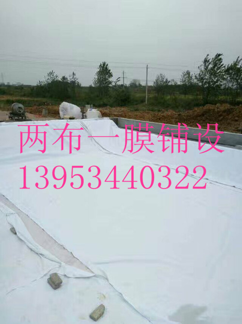 Ϻٹ·ָ550˃ɲһĤS