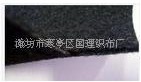 I(y)a(chn)ᘴ̟o
