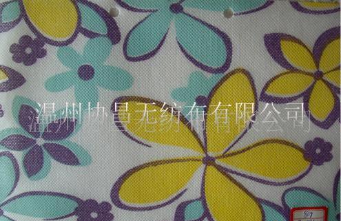 PPӡo