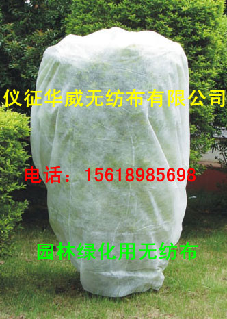  @־Go
