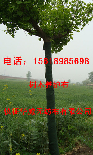 ľBo o䲼 䲼